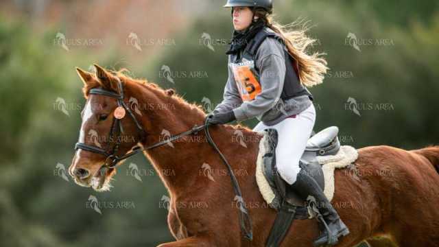 TREC02-06082024-422