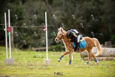 TREC02-06082024-423