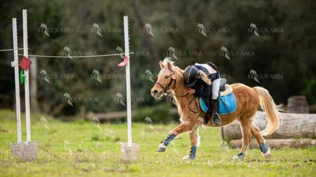 TREC02-06082024-423