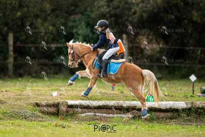 TREC02-06082024-424