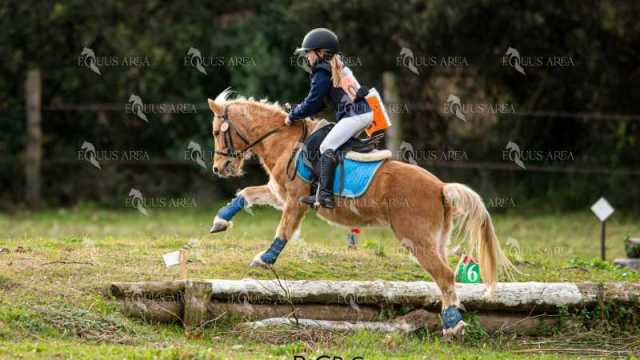 TREC02-06082024-424