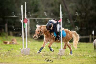 TREC02-06082024-425