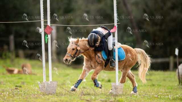 TREC02-06082024-425