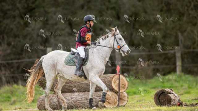 TREC02-06082024-426