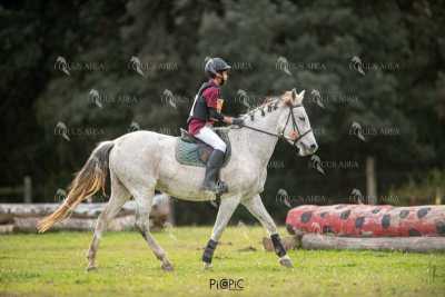 TREC02-06082024-427