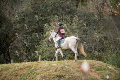 TREC02-06082024-428