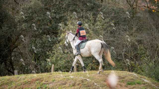 TREC02-06082024-428