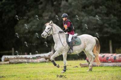 TREC02-06082024-429