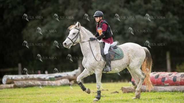 TREC02-06082024-429