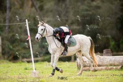 TREC02-06082024-430