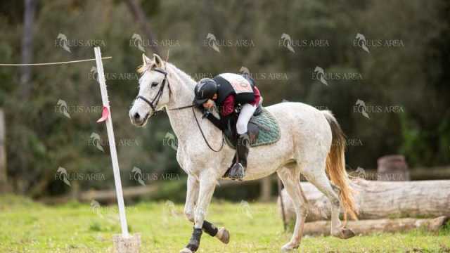 TREC02-06082024-430