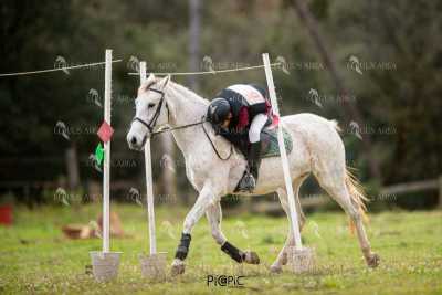 TREC02-06082024-431