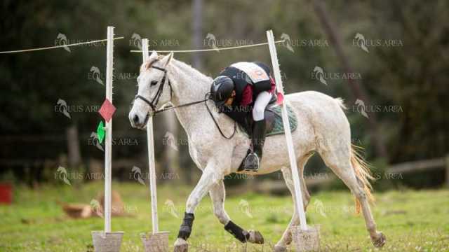 TREC02-06082024-431