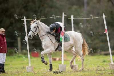 TREC02-06082024-432