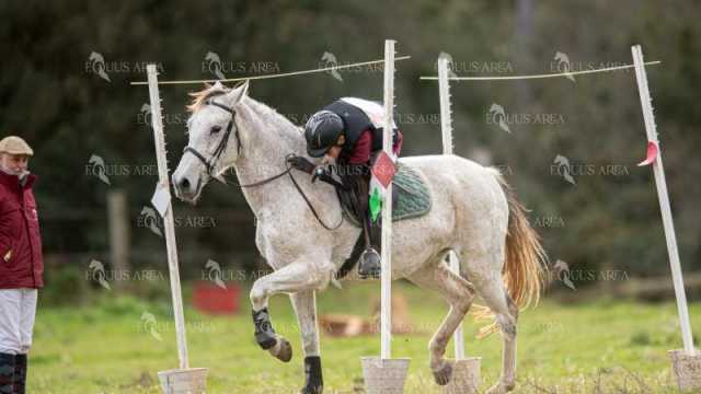 TREC02-06082024-432