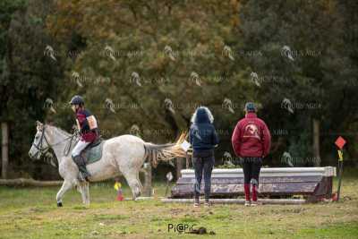 TREC02-06082024-433