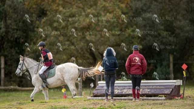 TREC02-06082024-433