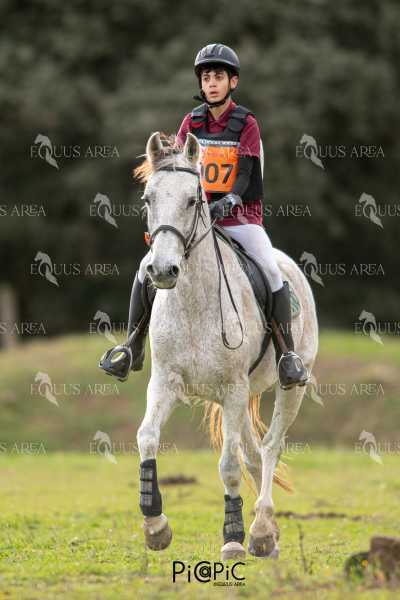 TREC02-06082024-434