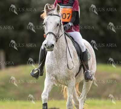 TREC02-06082024-434