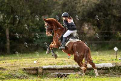 TREC02-06082024-435