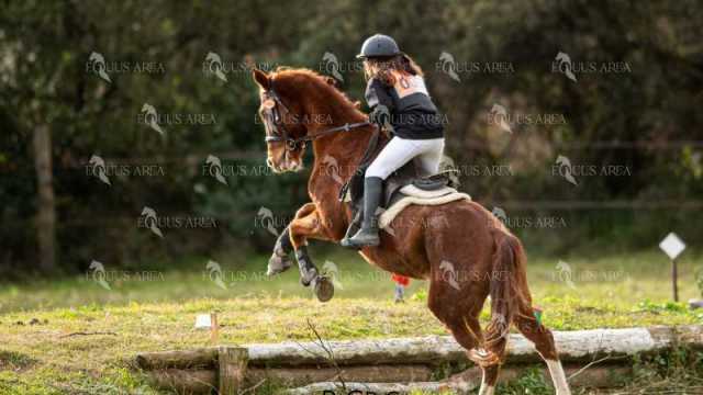 TREC02-06082024-435