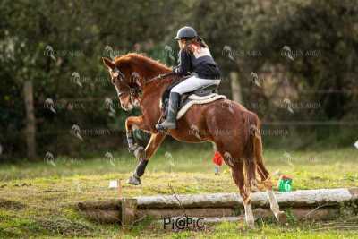 TREC02-06082024-436