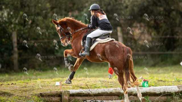 TREC02-06082024-436
