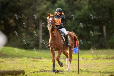 TREC02-06082024-437