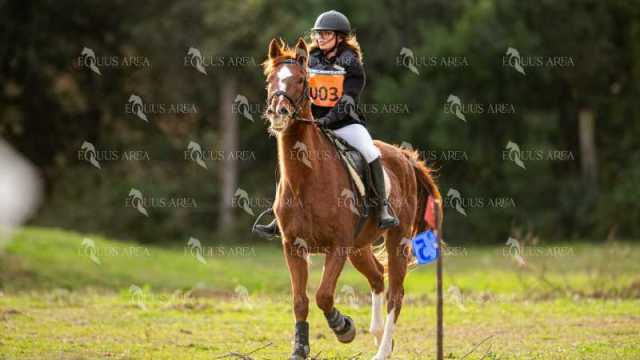 TREC02-06082024-437
