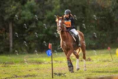 TREC02-06082024-438
