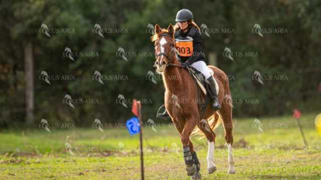 TREC02-06082024-438
