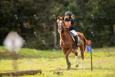 TREC02-06082024-439