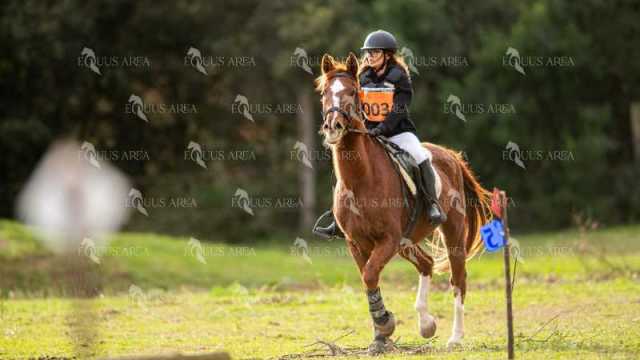 TREC02-06082024-439