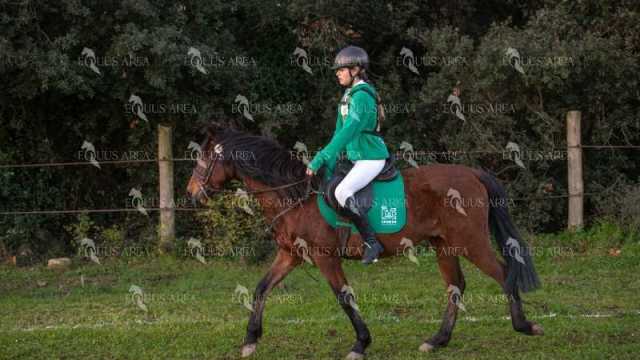 TREC02-06082024-44