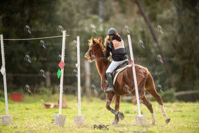 TREC02-06082024-440