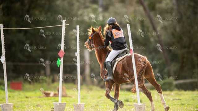 TREC02-06082024-440