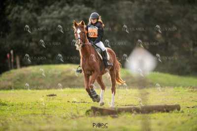 TREC02-06082024-441