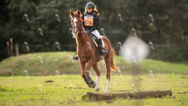 TREC02-06082024-441