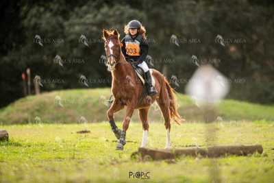 TREC02-06082024-442