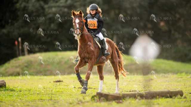 TREC02-06082024-442