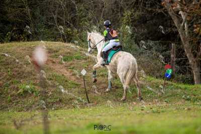 TREC02-06082024-443