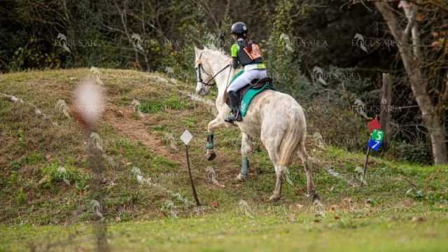 TREC02-06082024-443