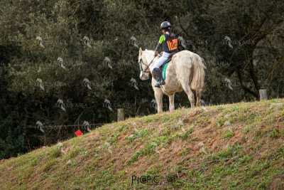 TREC02-06082024-444