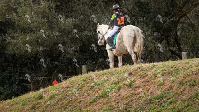 TREC02-06082024-444