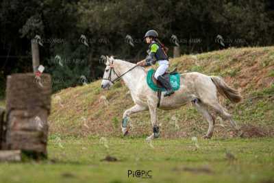 TREC02-06082024-445
