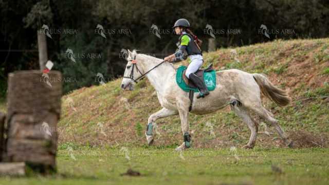 TREC02-06082024-445