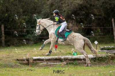 TREC02-06082024-446