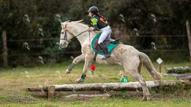 TREC02-06082024-446