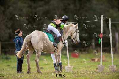 TREC02-06082024-447