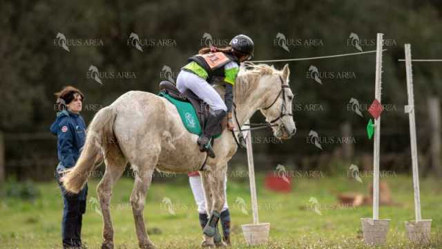 TREC02-06082024-447